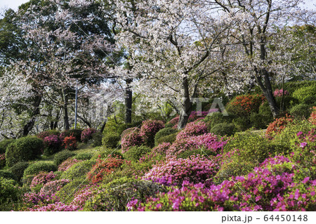 公園 公園 64450148