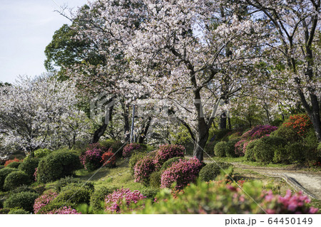 公園 公園 64450149