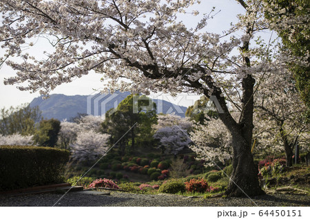 公園 公園 64450151