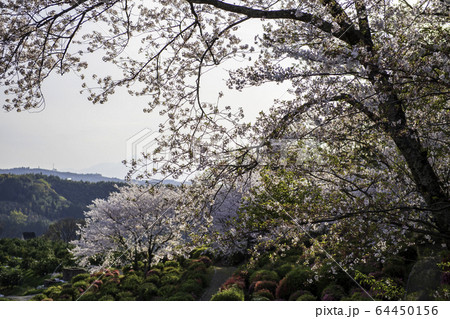 公園 公園 64450156
