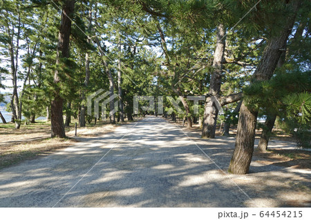 トワイライト・レールロード　天橋立　京都府 64454215