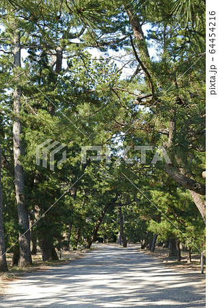 トワイライト・レールロード 天橋立 京都府 トワイライト・レールロード 天橋立 京都府 64454216