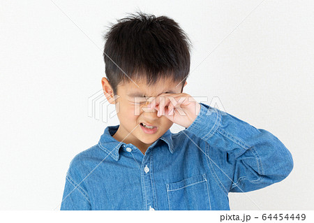 花粉症 64454449