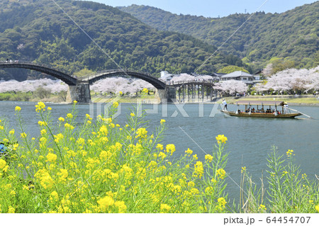 春の錦帯橋 64454707