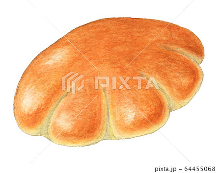 クリームパン　パン　手描き　水彩 64455068