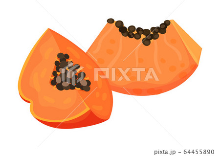 Papaya Fruit Pieces with Orange Pulp and Black Seeds Vector Illustration 64455890