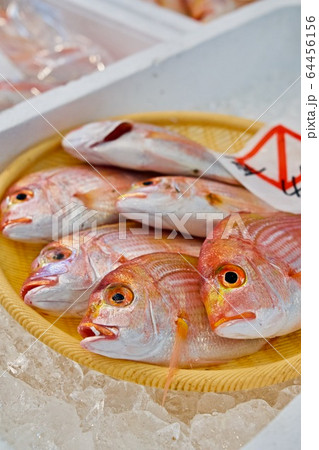 市場の連子鯛 市場の連子鯛 64456156