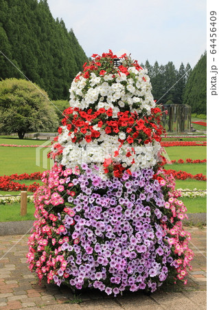 ペチュニアのタワー ペチュニアのタワー 64456409
