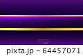 Metallic chrome golden violet purple elegant 64457071