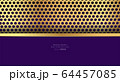 Metallic chrome golden violet purple elegant 64457085