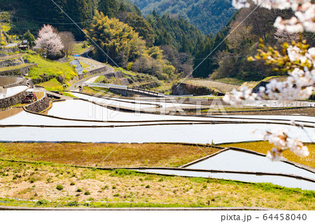 広島県 井仁の棚田 春 広島県 井仁の棚田 春 64458040