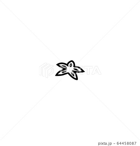 Star anise. Isolated on a white background . 64458087