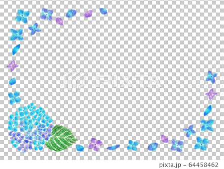 紫陽花　フレーム　色鉛筆画 64458462