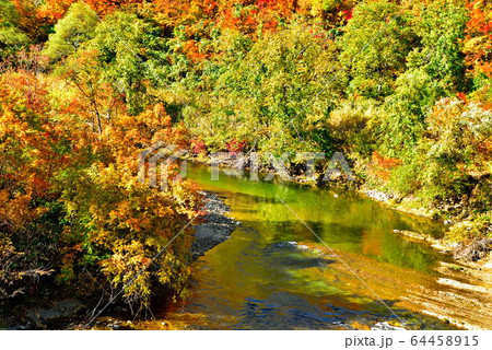 一ノ戸川 64458915