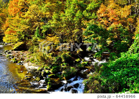 一ノ戸川 64458966