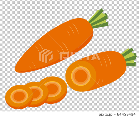 胡蘿蔔蔬菜圖矢量 胡蘿蔔蔬菜圖矢量 64459484