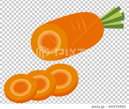 胡蘿蔔蔬菜圖矢量 胡蘿蔔蔬菜圖矢量 64459485