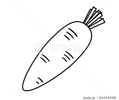 人参 野菜 イラスト ベクターのイラスト素材 64459499 Pixta