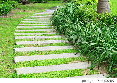 stone walkway in garden stone walkway in garden 64460765