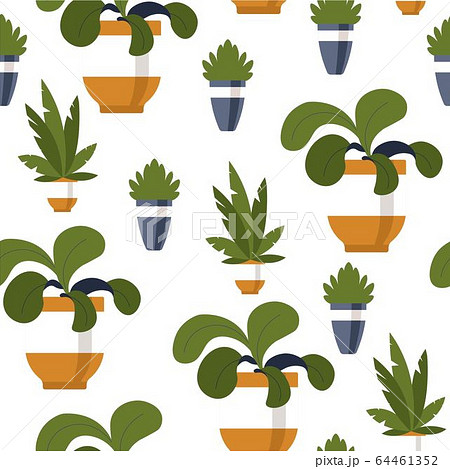 Decorative plant in pot, flower for home office seamless pattern 64461352