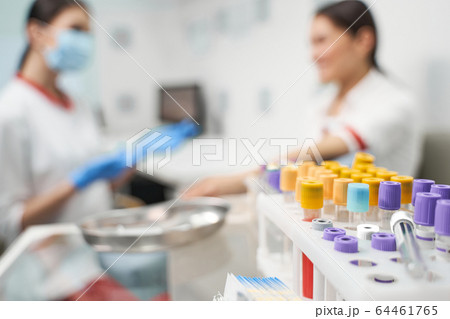 Focused photo on test tubes that being in plastic support Focused photo on test tubes that being in plastic support 64461765