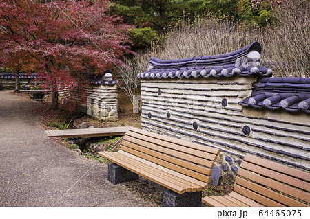 （静岡県）熱海梅園の紅葉　韓国庭園 64465075