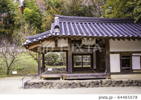 （静岡県）熱海梅園の紅葉　韓国庭園 64465078