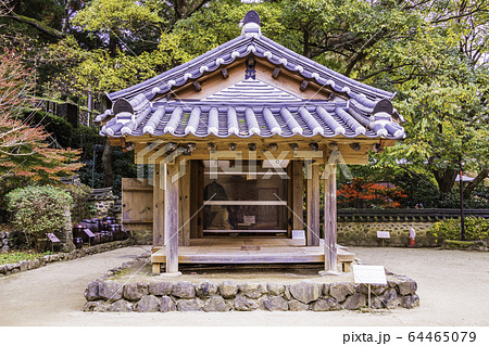 (静岡県)熱海梅園の紅葉 韓国庭園 (静岡県)熱海梅園の紅葉 韓国庭園 64465079