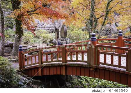 （静岡県）熱海梅園の紅葉　もみじまつり 64465540