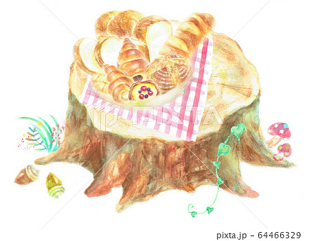 パンの盛り合わせ 切株 パンの盛り合わせ 切株 64466329