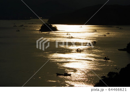 徳島県　鳴門　釣り筏　いかだ 64466621