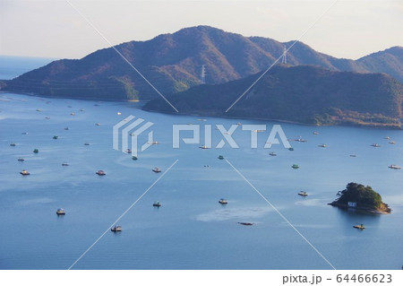 徳島県 鳴門 釣り筏 いかだ 徳島県 鳴門 釣り筏 いかだ 64466623