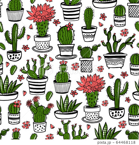 Cactus and succulent hand drawn seamless pattern in sketch style. Doodle colors flowers in pots. Vector colorful cute house interior plants. 64468118
