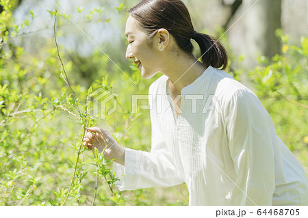植物とミドルの女性 64468705