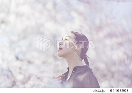 満開の桜と東洋美を備えた女性 64468903