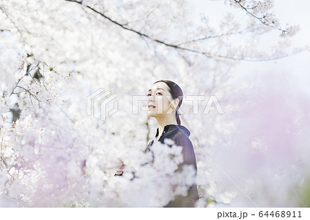 満開の桜と東洋美を備えた女性 64468911