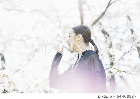 満開の桜と東洋美を備えた女性 64468937