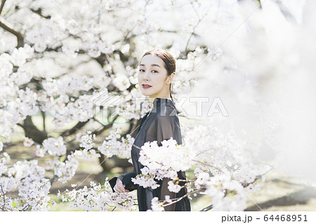 満開の桜と東洋美を備えた女性 64468951
