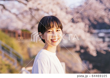 夕暮れ時の桜満開の公園を散歩する女性 夕暮れ時の桜満開の公園を散歩する女性 64469105