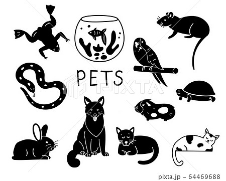 Pets character set for pet shop. Vector illustration. 64469688