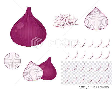 紫玉ねぎ レッドオニオン イラストセットのイラスト素材