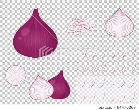 紫洋蔥_紅洋蔥_插圖集 64470869