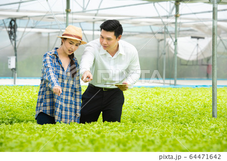 Organic vegetable farm,asian couple farmers inspect organic vegetables in the farm 64471642