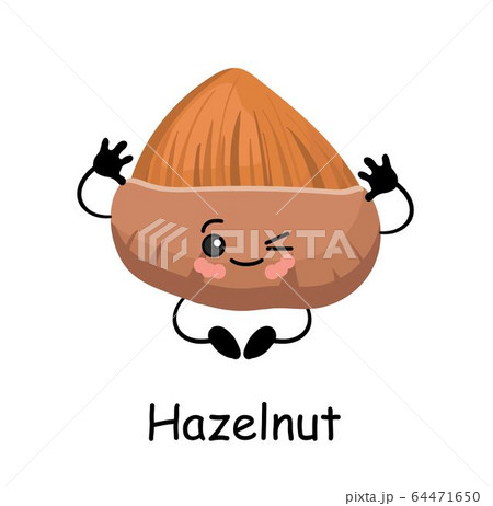 Hazelnut Illustration Cute Cute Walnut のイラスト素材