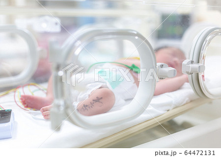 保育器で頑張る新生児　新生児　保育器 64472131