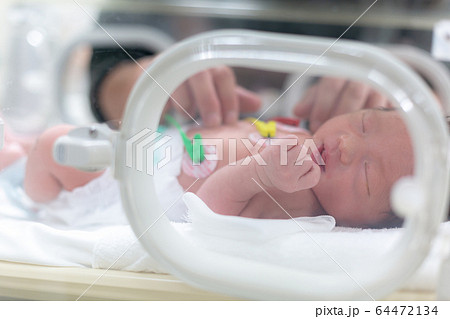 保育器で頑張る新生児 新生児 保育器 保育器で頑張る新生児 新生児 保育器 64472134