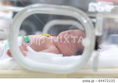 保育器で頑張る新生児 新生児 保育器 保育器で頑張る新生児 新生児 保育器 64472135