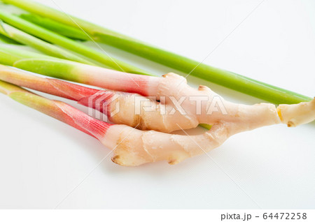 谷中生姜 谷中生姜 64472258