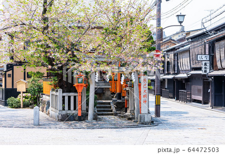 京都観光 祇園白川の辰巳大明神 64472503