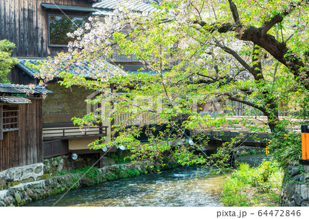 京都観光 祇園白川の巽橋 京都観光 祇園白川の巽橋 64472846